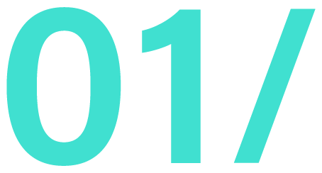 Custom Sofware Development